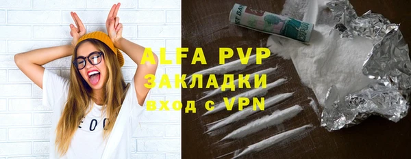 прущие грибы Корсаков
