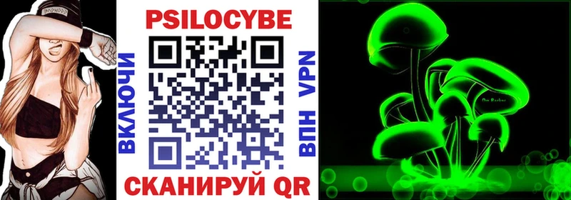 Псилоцибиновые грибы Psilocybine cubensis  Райчихинск 