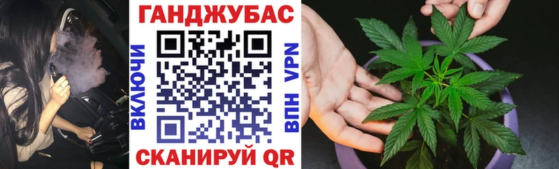 Бошки Шишки Amnesia  Райчихинск 